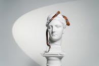 Snake Crawling on a Gypsum Head