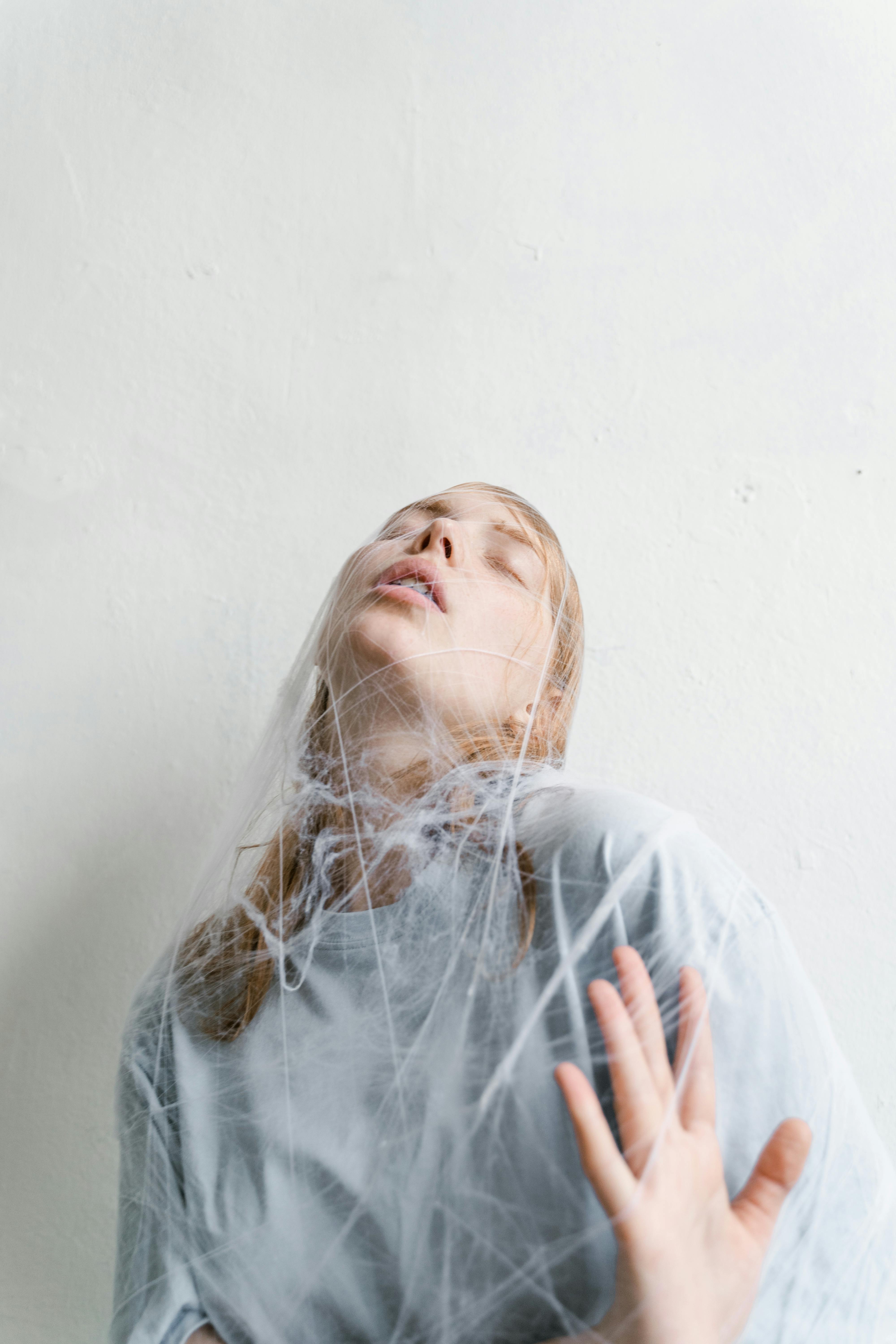 What Animal Are spiders Afraid Of?