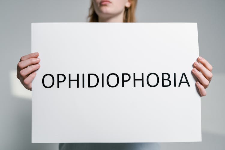 A Person Holding A Sign Of Ophidiophobia