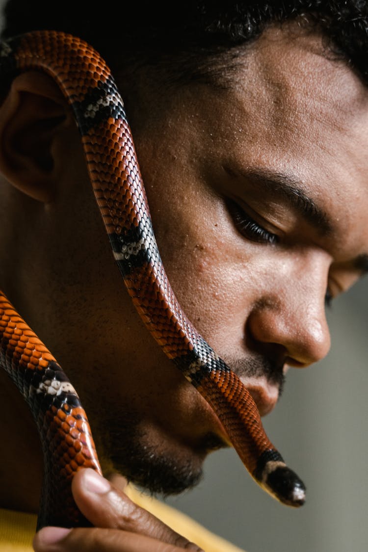 Close-Up Photo Of A Man Overcoming His Fear Of Snakes