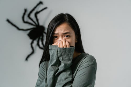 Free A Fearful Woman Having Arachnophobia Stock Photo