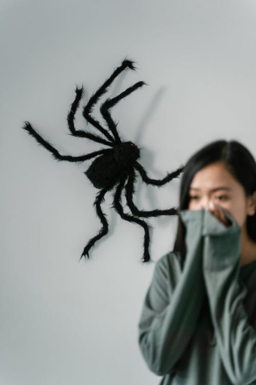 Free A Woman Afraid of Big Spider Hanging on a Wall Stock Photo