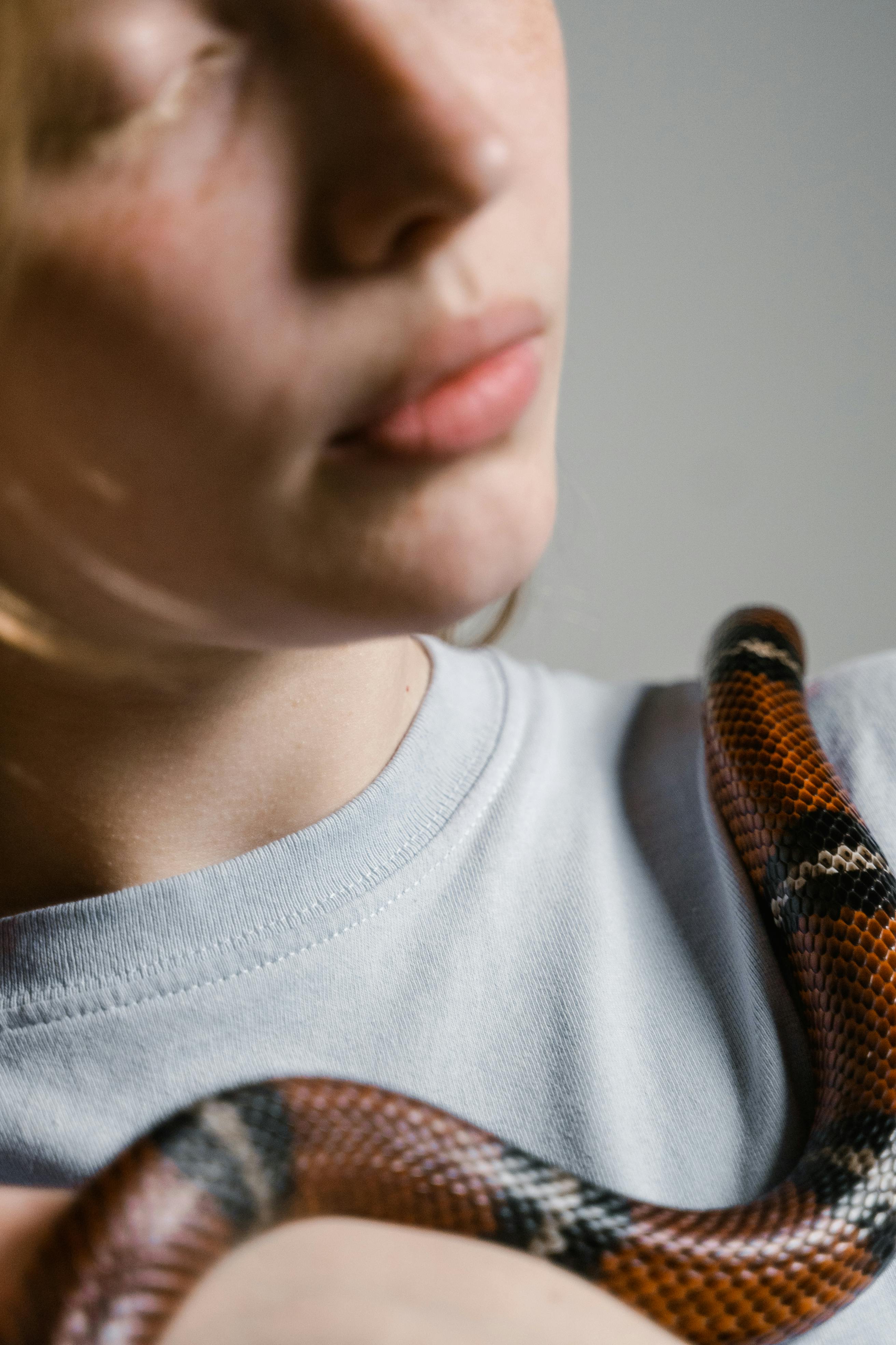 Beautiful Woman As Gorgon With Corn Snake Stock Photo - Download