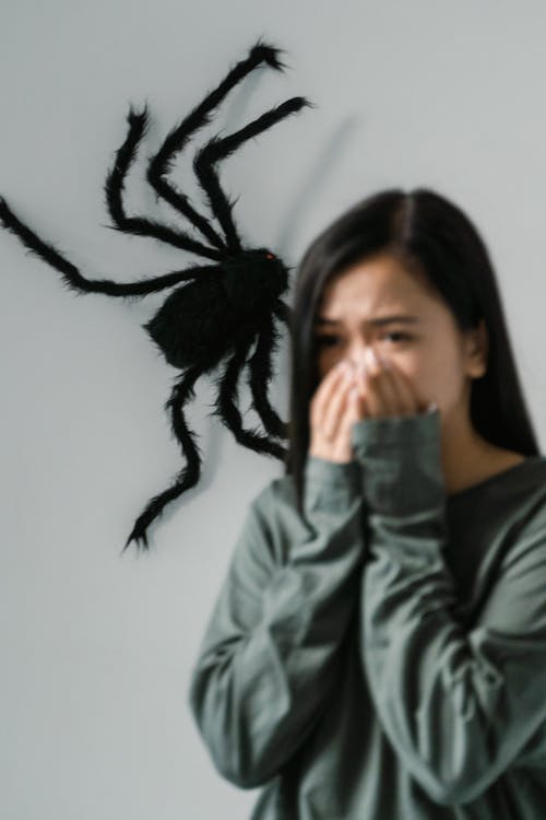 Free A Fearful Woman Having Arachnophobia Stock Photo