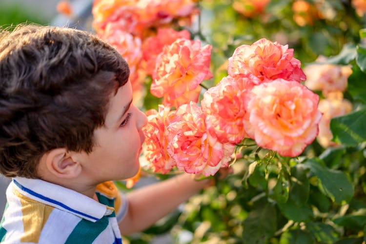 Child Smelling Blooming Flowers