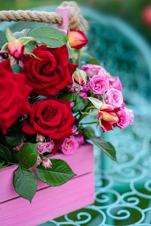 Blooming Roses on a Wooden Box