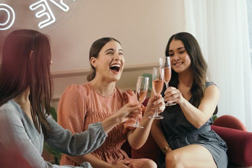 Free Cheerful Women Having a Toast of Rosé  Wine Stock Photo