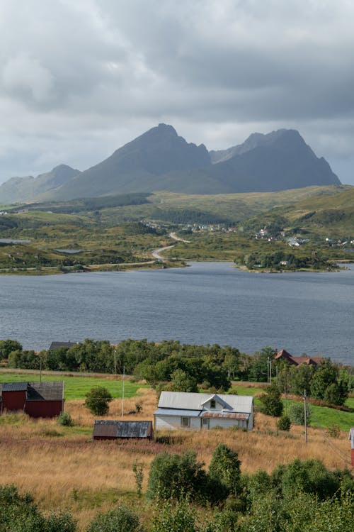 Houses Near a Lake