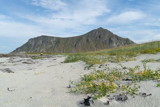 Beautiful beach landscape in Nordland, Norway with lush vegetation and mountain backdrop.