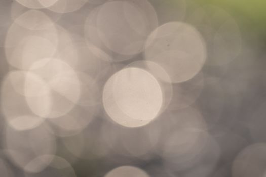 Abstract image of soft defocused circular bokeh lights creating a dreamy effect.