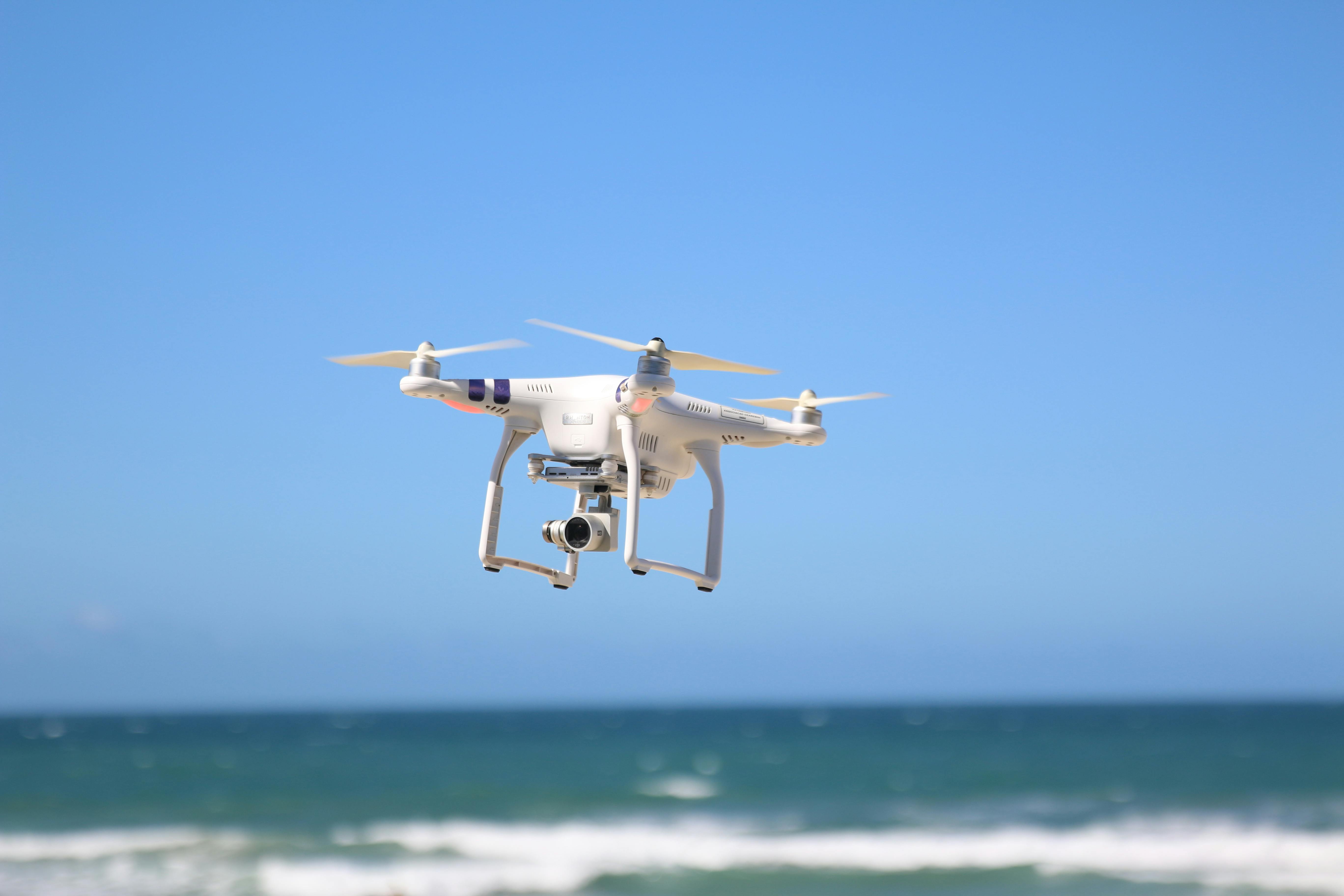 sea flight flying beach