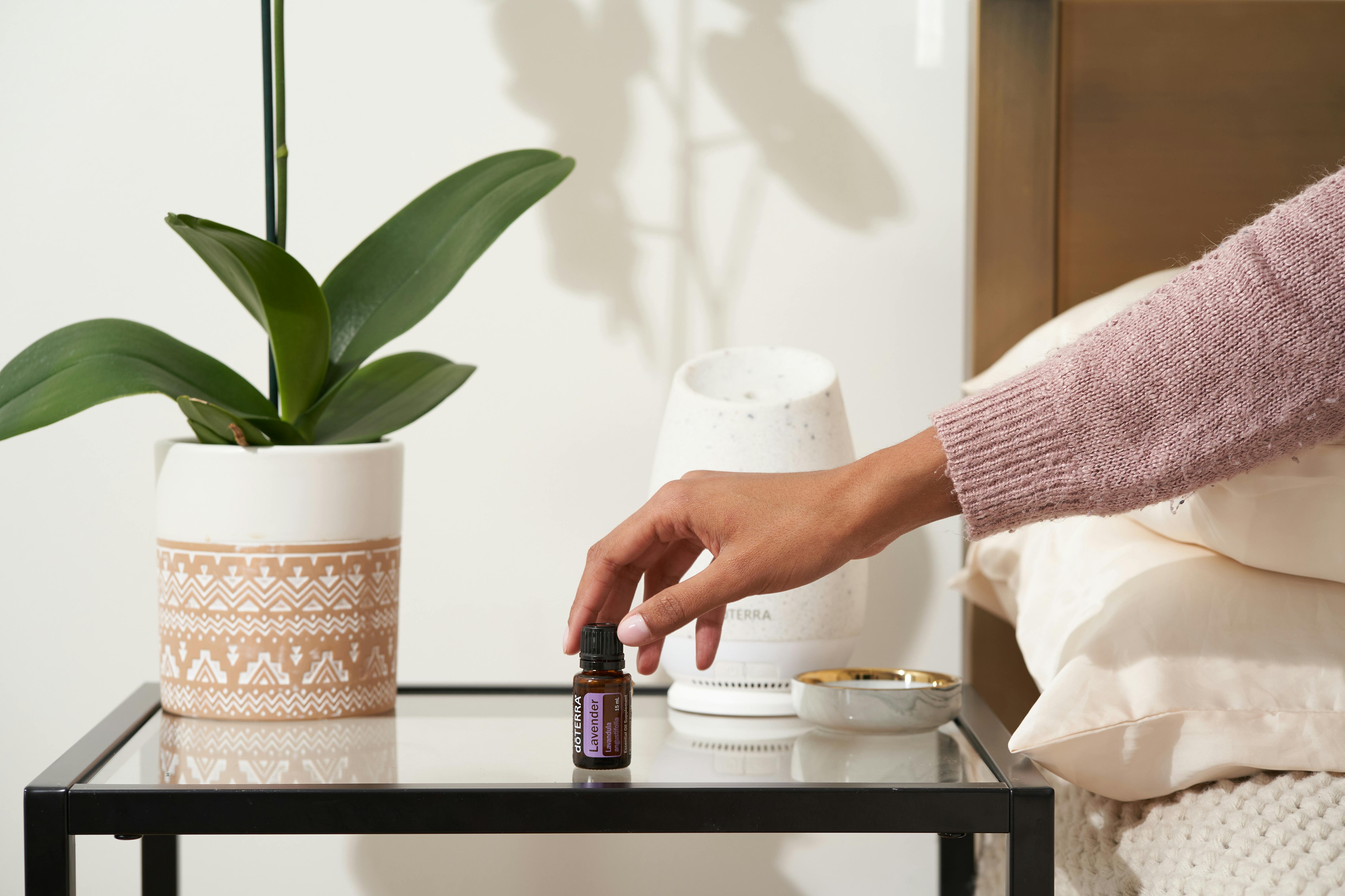 A relaxing bedroom scene with essential oil, potted plant, and diffuser on a bedside table.
