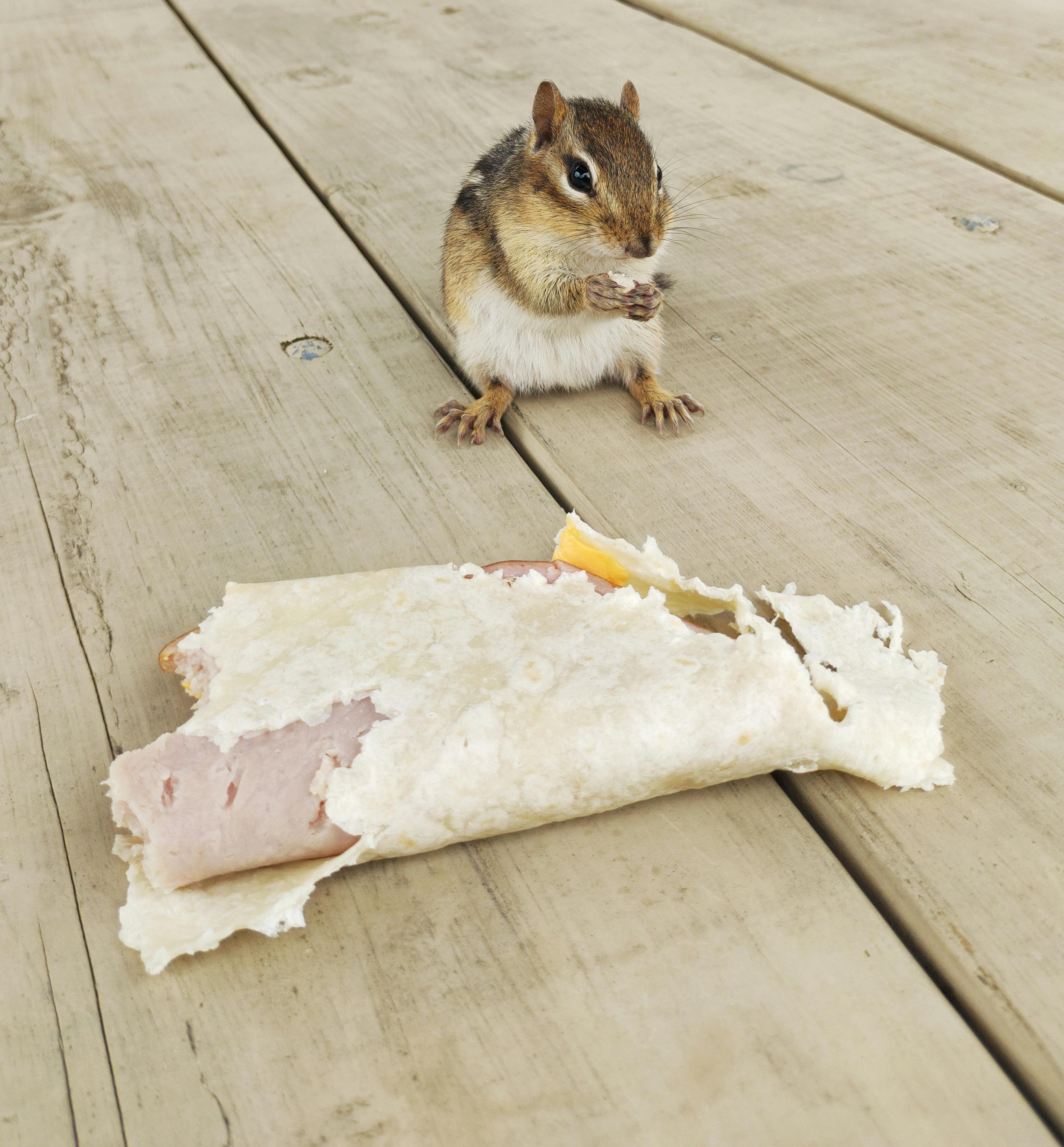 An empty hospital hallway at night, symbolizing a character’s departure