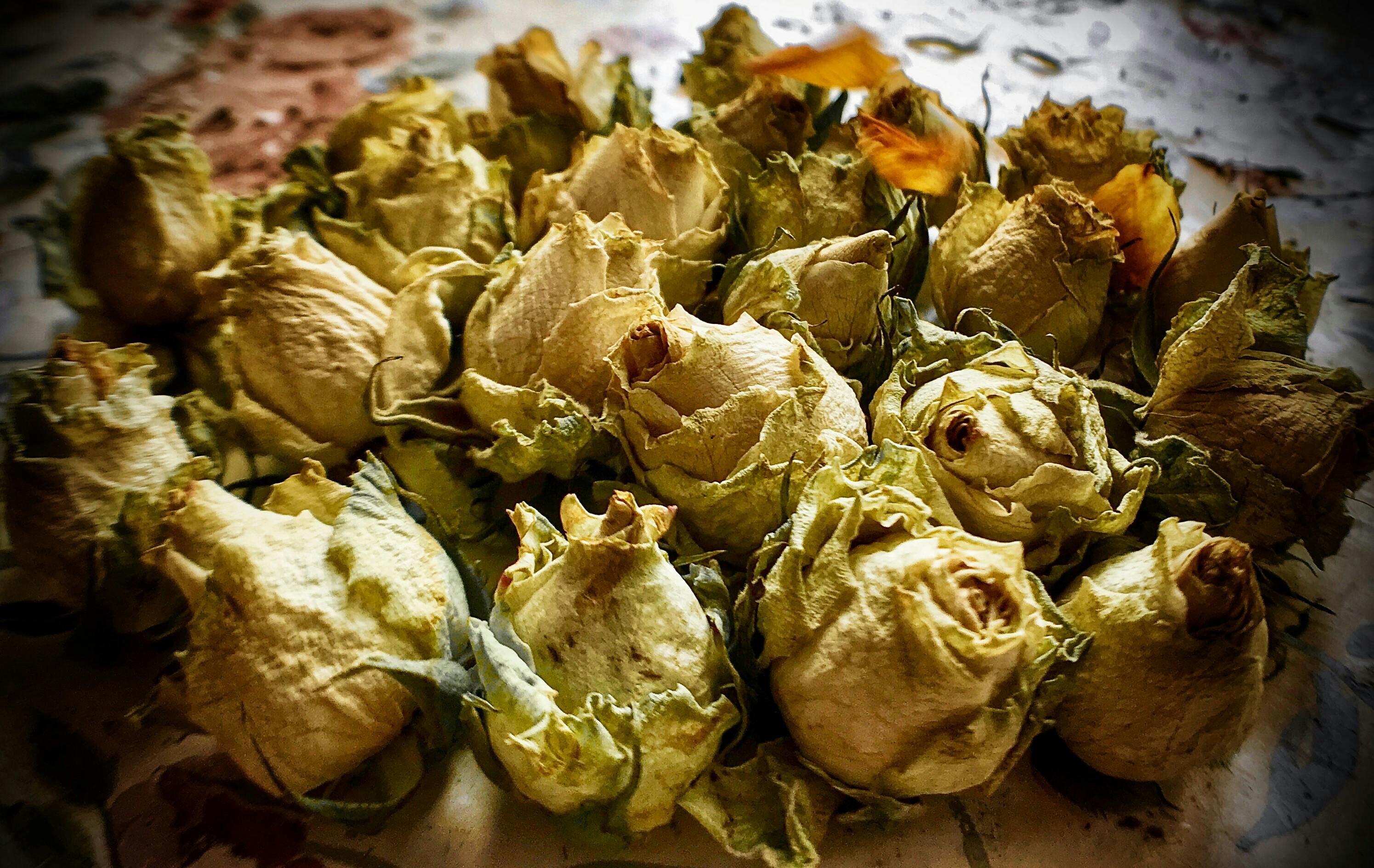 دکتر رضا محمدی