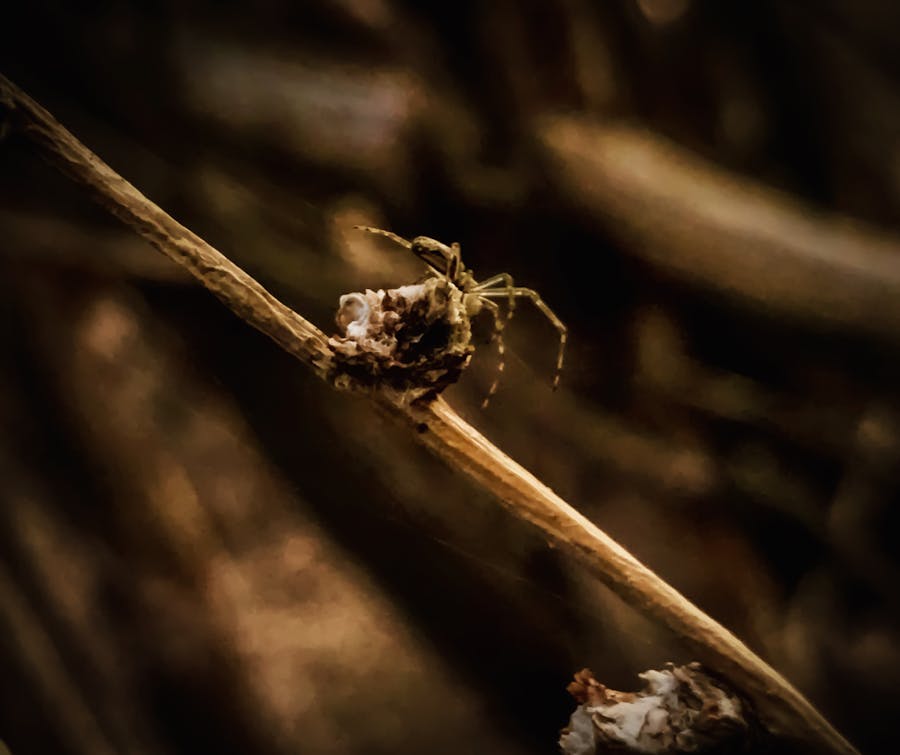 护士在病区根据统一规范执行护理操作