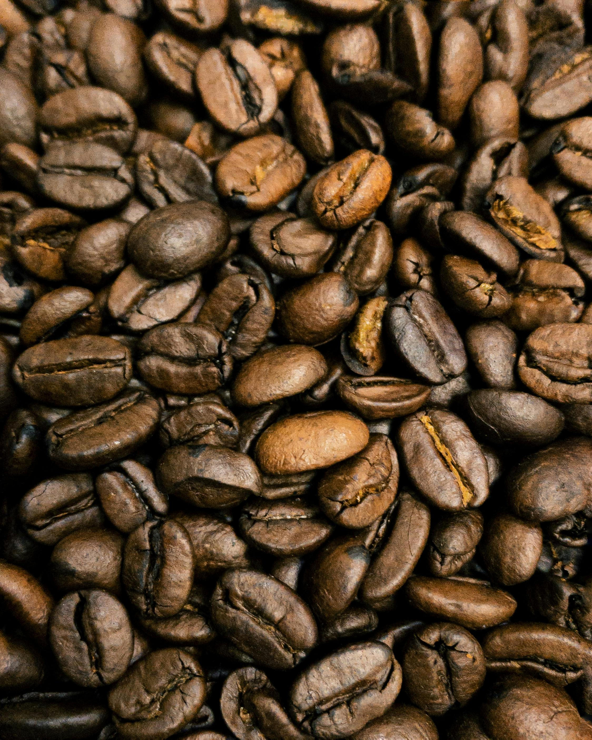 Pediatrician examining a toddler in a clinic