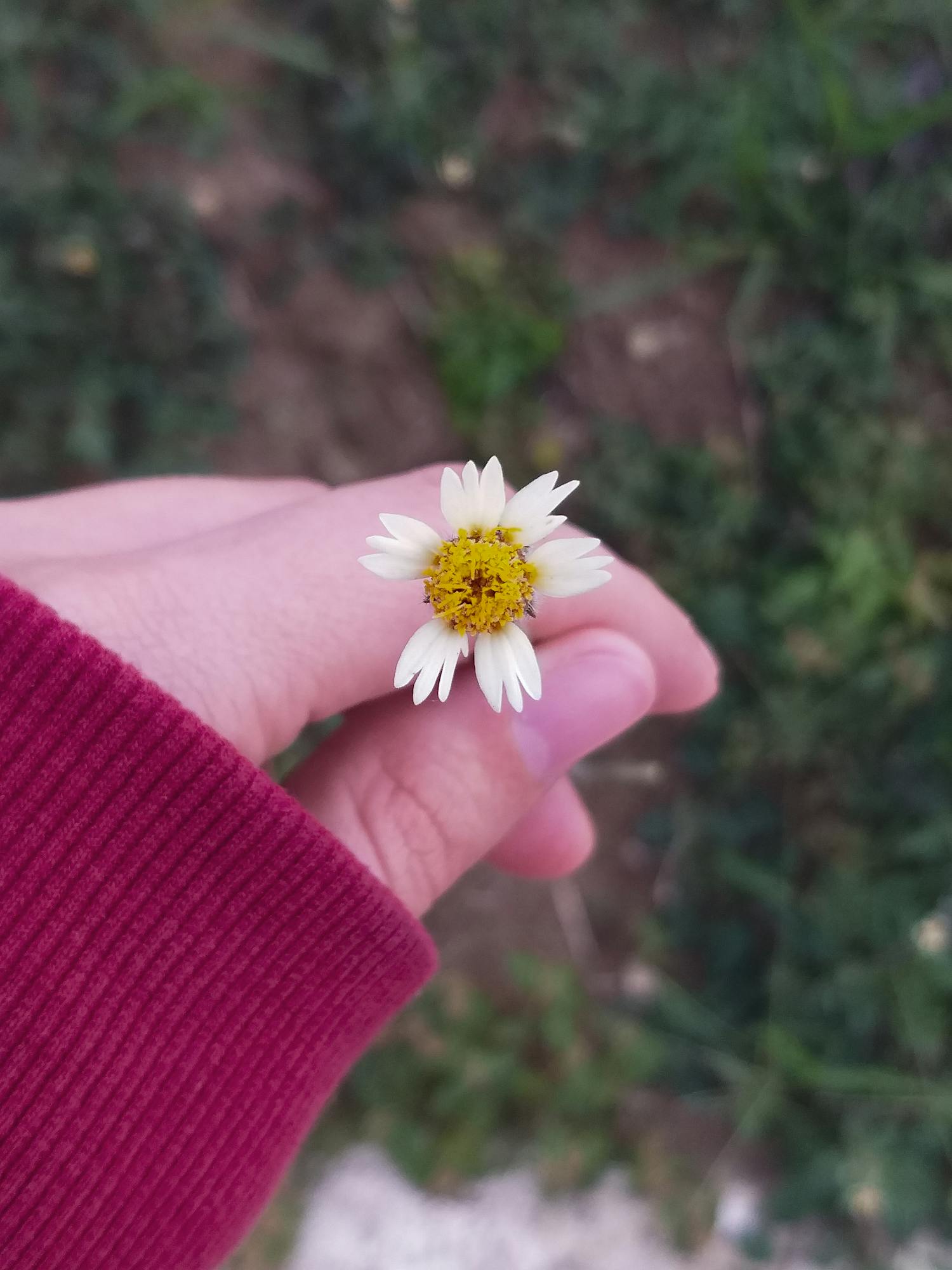 Doctor reviewing a brain scan on a computer monitor
