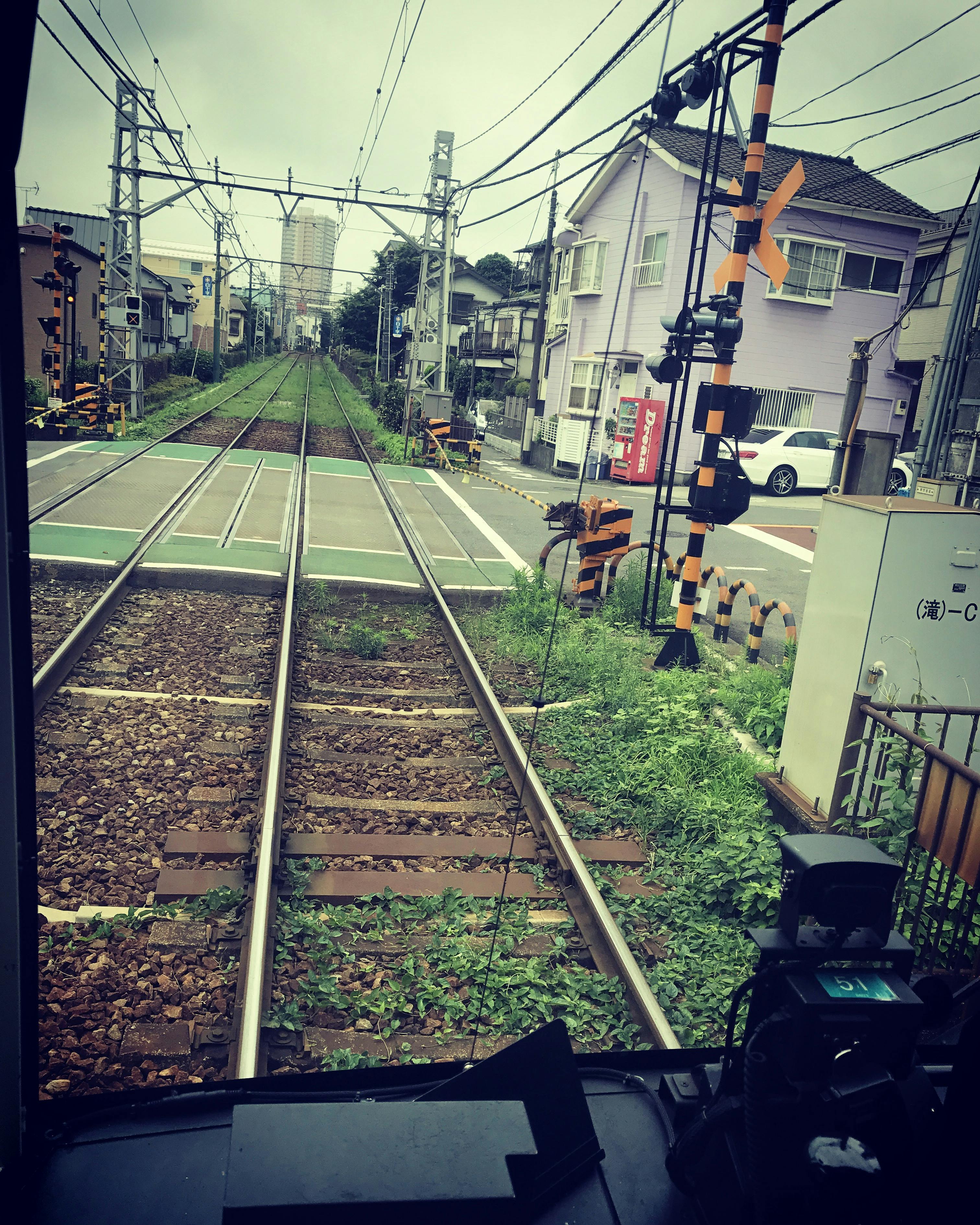 Doctor consulting with patient and reviewing notes