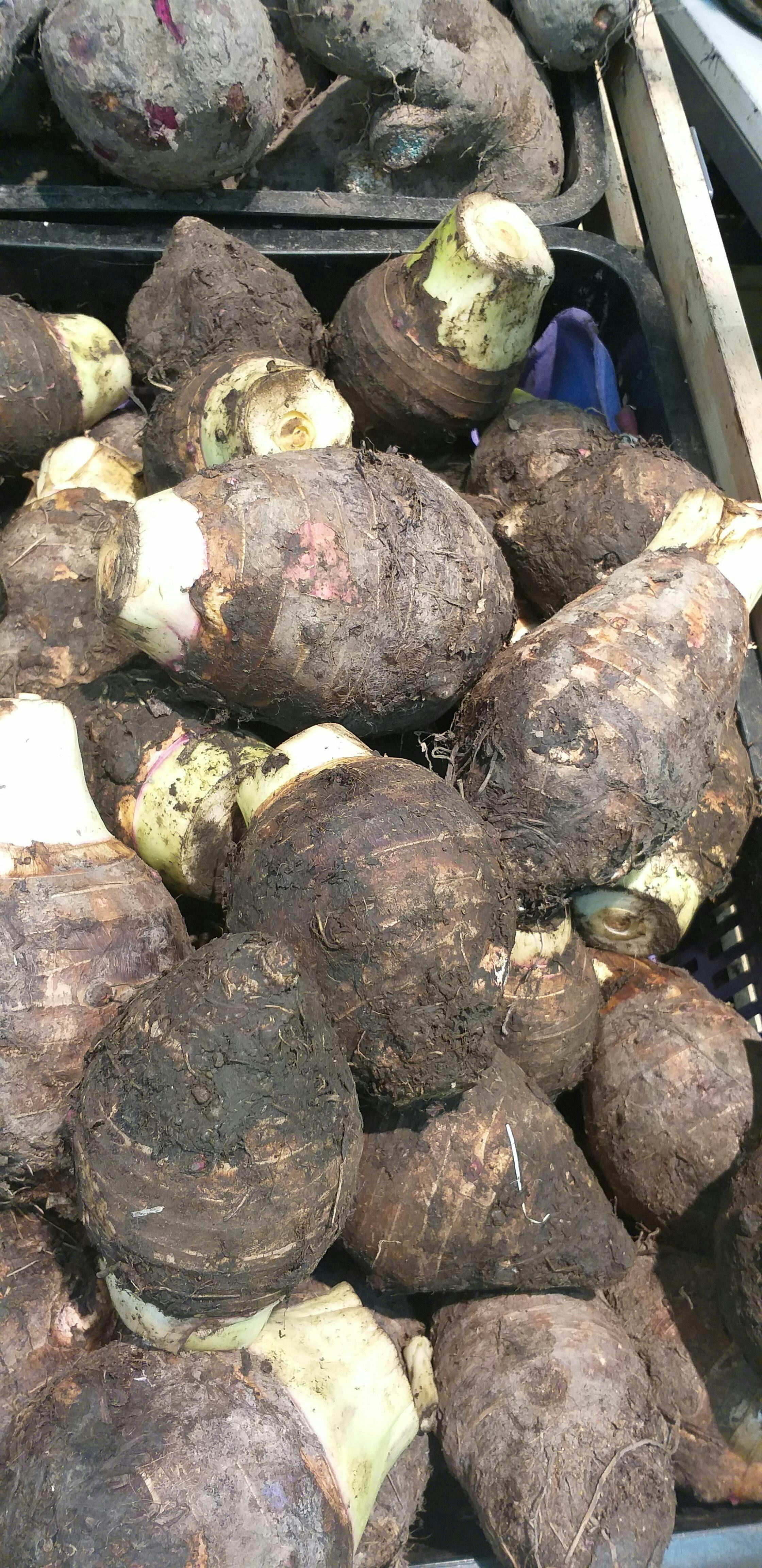 Doctor reviewing brain imaging results on a computer with a patient