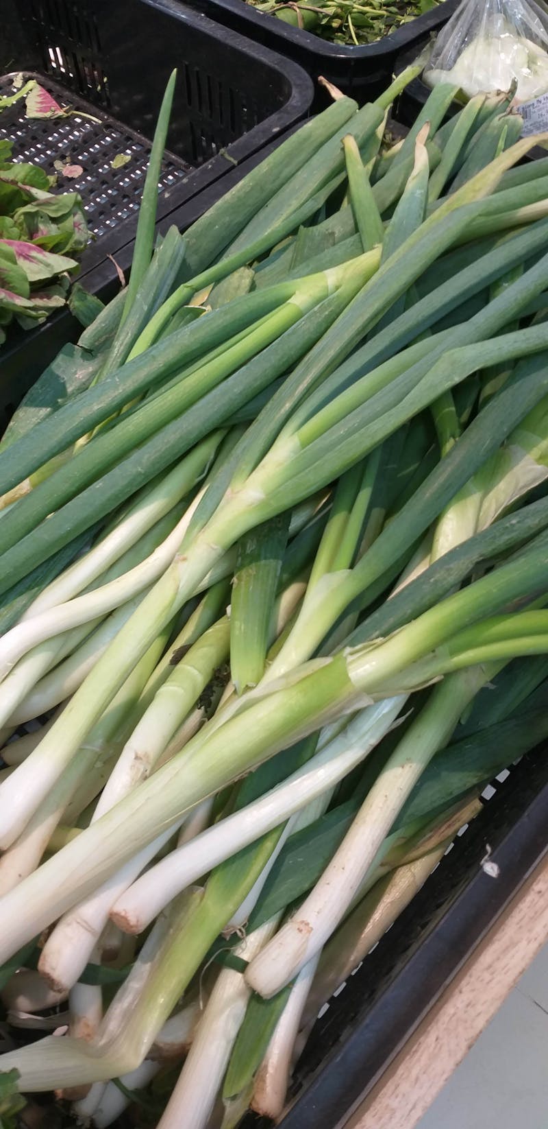 RDC - Programmes Intégrés - Photo 5