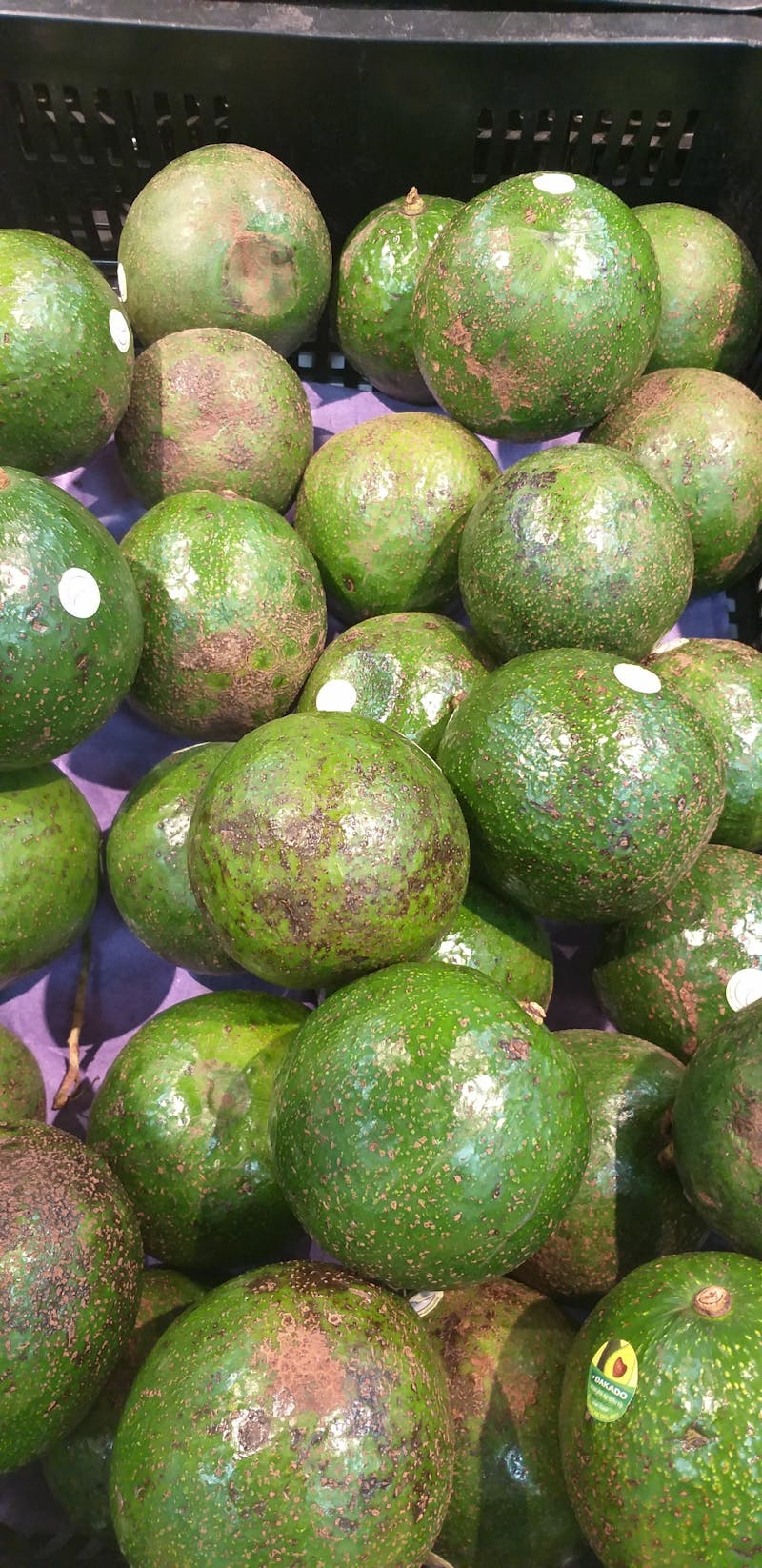 Friendly primary care doctor with patient