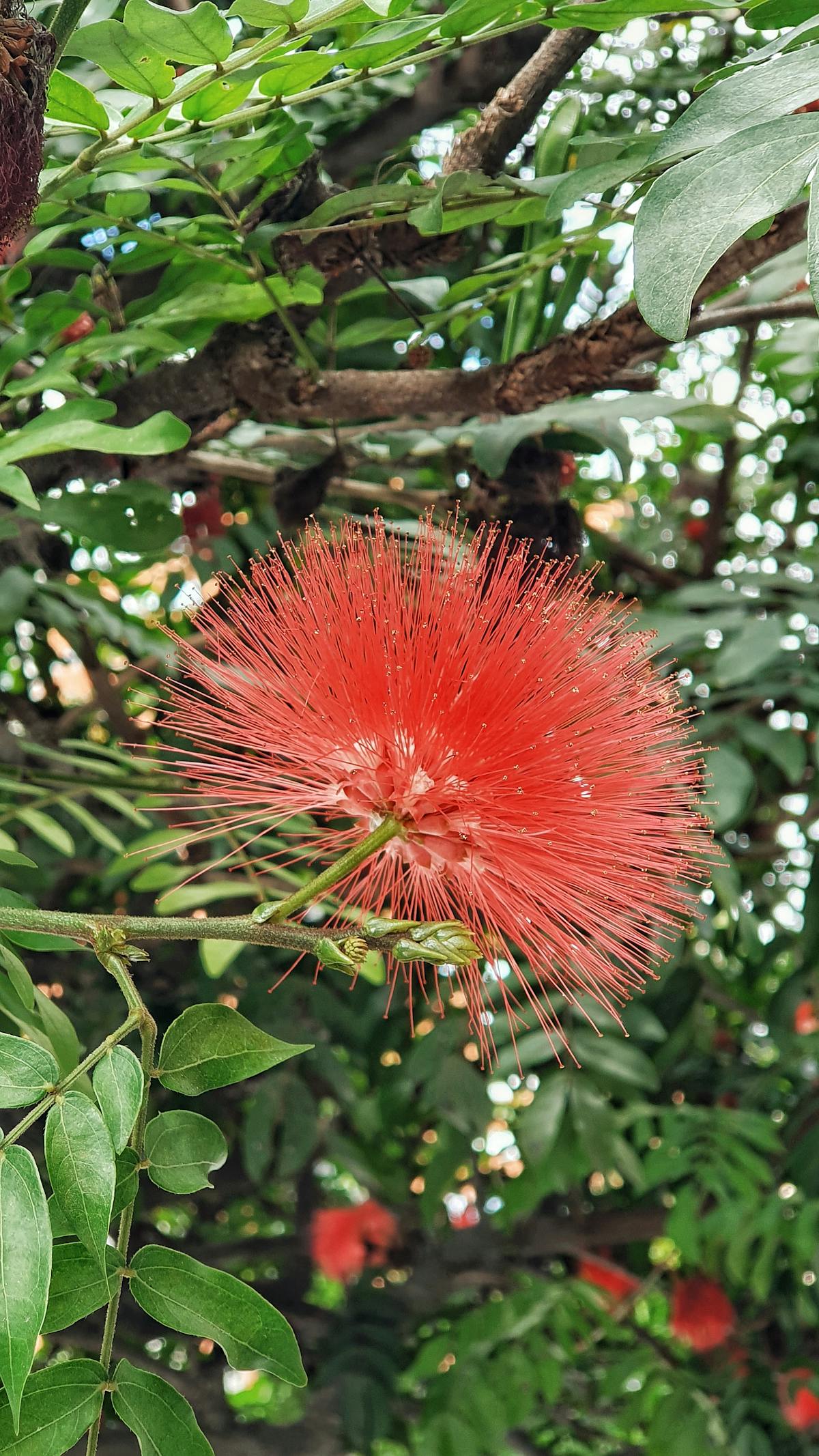 Highest Paying States for Nurses in 2026: Complete Salary Breakdown