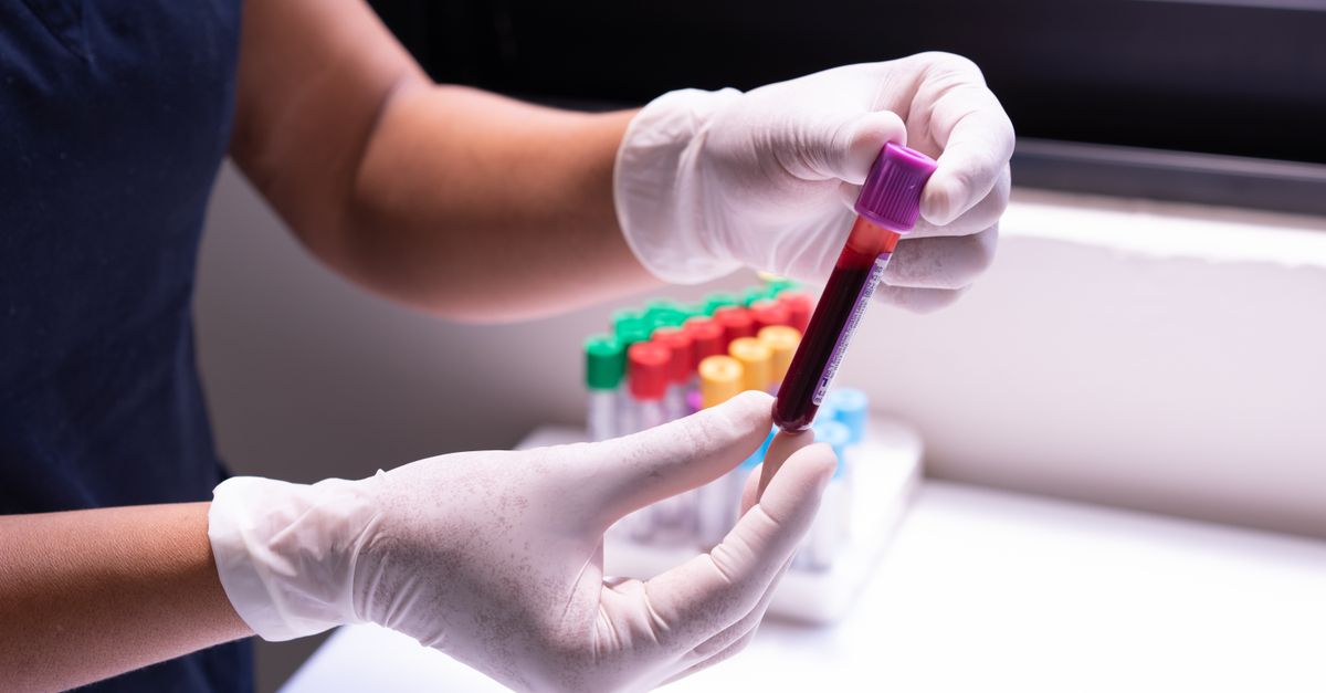 Molbio Diagnostics IPO: A High-Risk Investment with Growth Potential