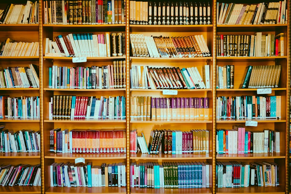 dowload subtitle dowload subtitle