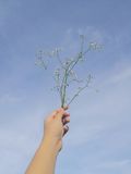 Feb Larlyn Rabaja on Pexels