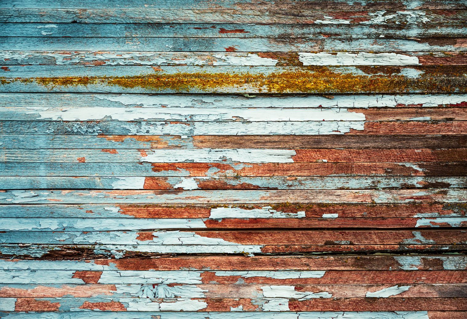Fence and Decking Painting in Selhurst — the finished result after a professional repaint