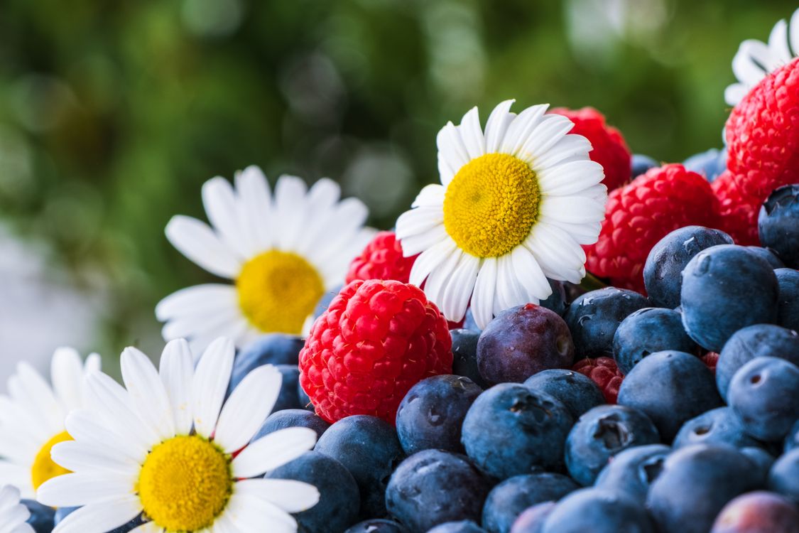 Deep Raspberry Daisies White Daisy Flowers on Top of Fresh Berries · Free Stock Photo