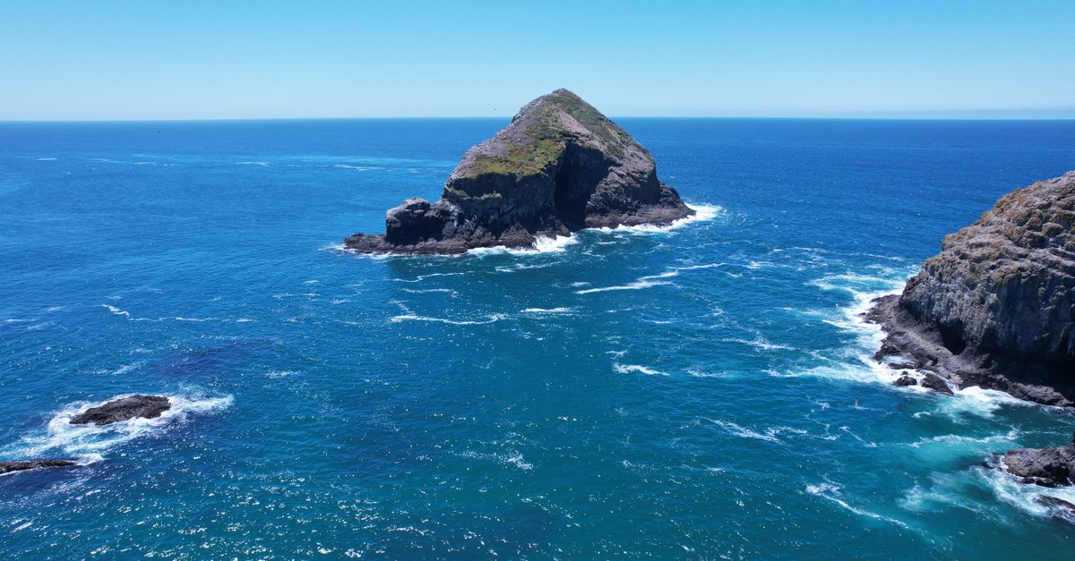 Stunning aerial view of a rocky islet along the Tillamook coastline in Oregon, surrounded by clear blue ocean waters.