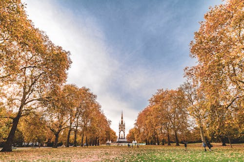 Free People at the Hyde Park in Autumn Stock Photo