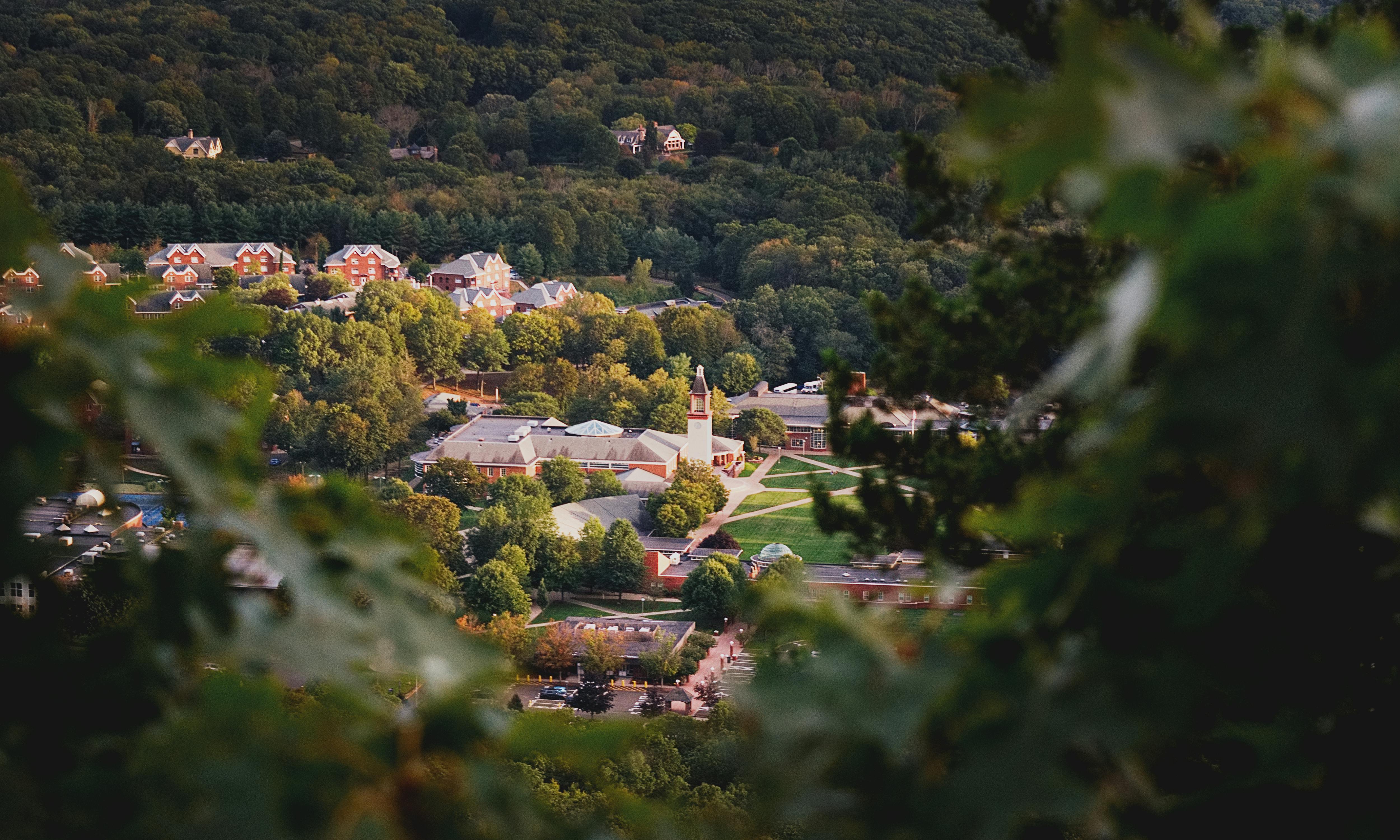 Quinnipiac University’s General Education curriculum put under review — Photo by the happiest face =) on Pexels