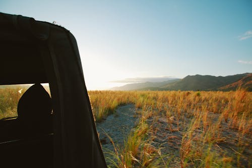 Free stock photo of 4x4, cars, landscape