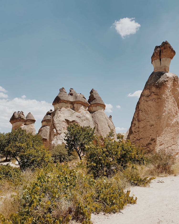 Bushes By The Stone Fairy Chimneys In Cappadocia, Turkey