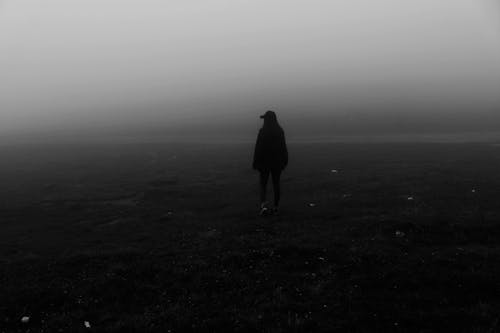 Free stock photo of black and white, cloud forest, dark