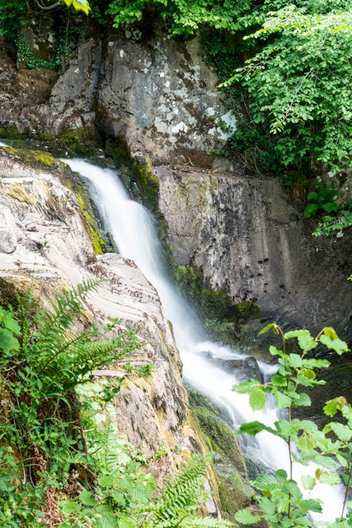 Long Exposure of a Cascade 