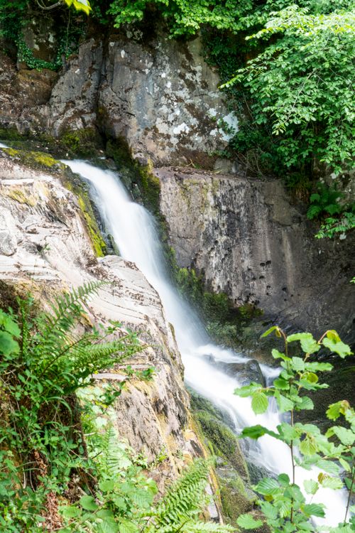 Free Tranquil waterfall cascading over rocks surrounded by vibrant green foliage in a forest setting. Stock Photo