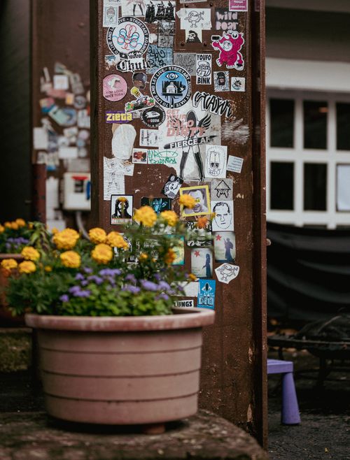 Free Close-up of vibrant urban street art with potted flowers in focus, capturing city life. Stock Photo