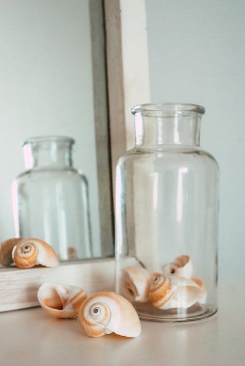 Seashells on a Glass Bottle 