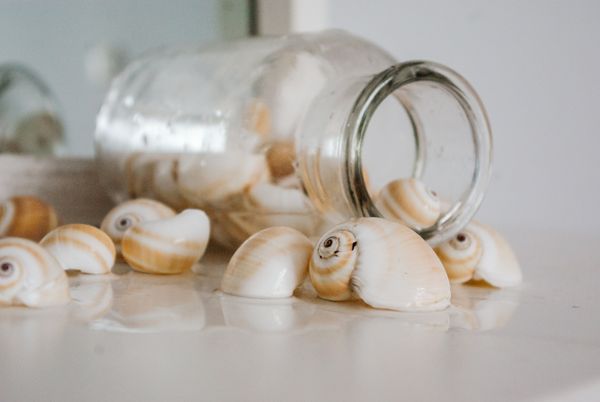 Shells spilling from a glass jar on a pale surface — photo by Dagmara Dombrovska on Pexels
