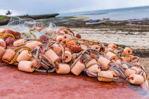 Close-up of Net on Seashore