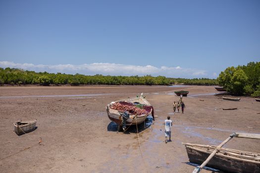 Unused Boats on a Dry River 