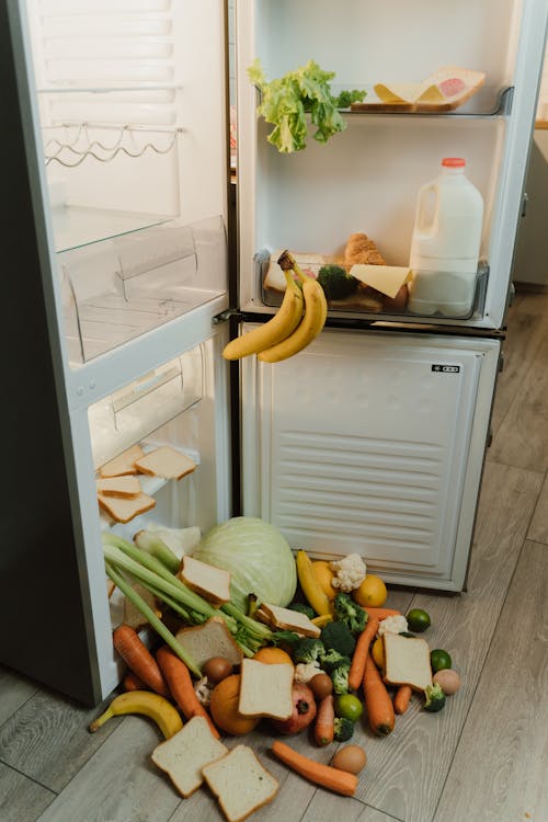 Opened Fridge - Food Waste Symbol