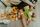 food waste