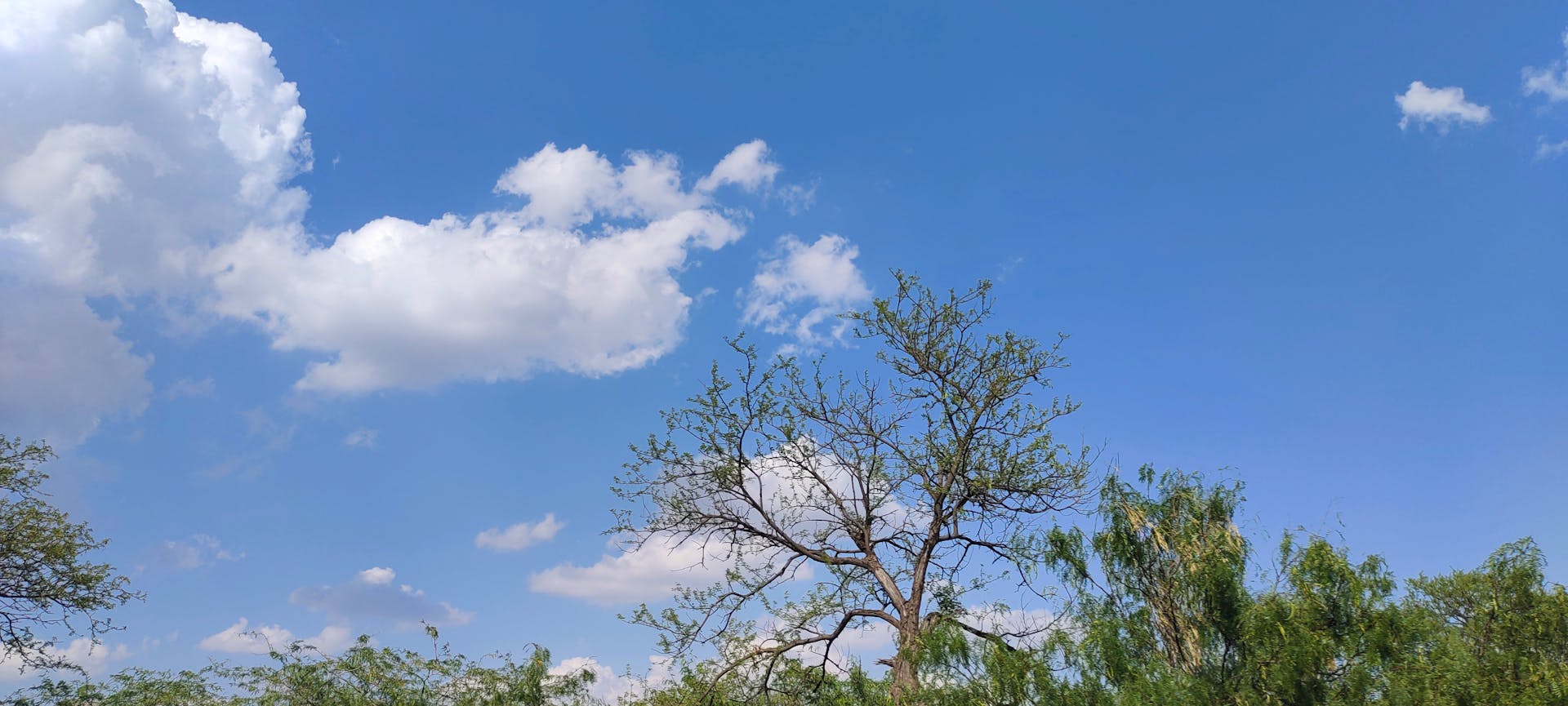 Daara Moderne Massalikoul Djinane