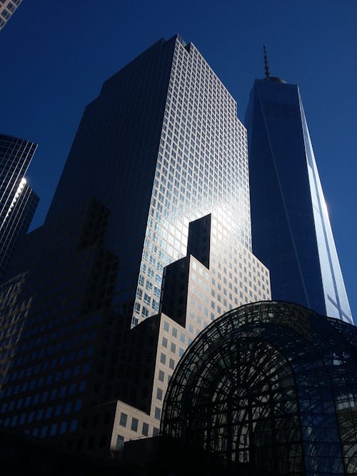Tall Buildings with Glass Windows Under Clear Blue Sky
