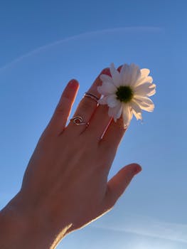 A hand adorned with rings holds a white daisy against a clear blue sky, highlighting simplicity and elegance.