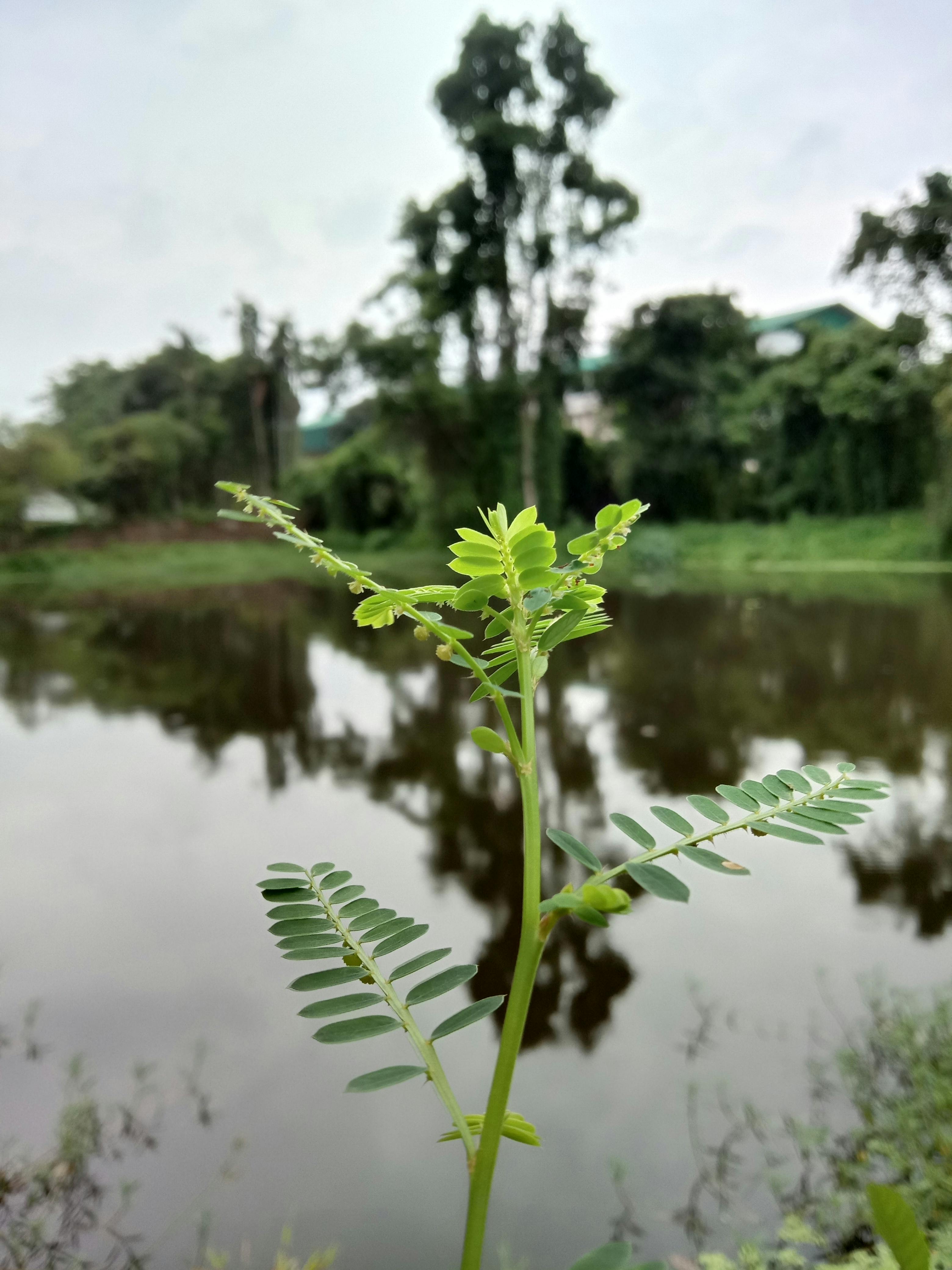 Prière d'Intercession
